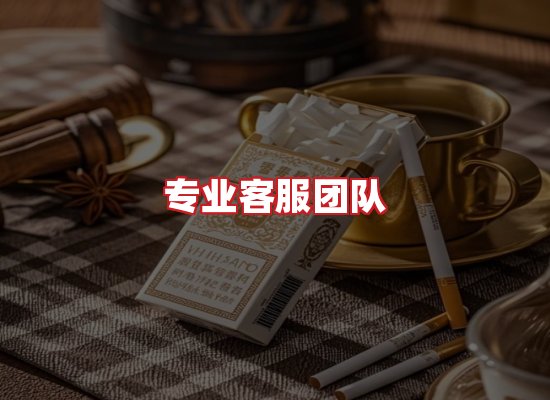 专业团队
